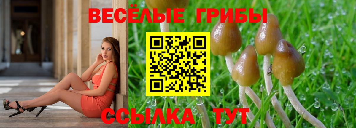 Галлюциногенные грибы MAGIC MUSHROOMS  Псилоцибиновые грибы ЛСД  Свободный  Вход с VPN 